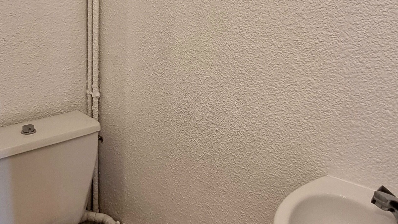 Photo of Bathroom in Saint-Cyprien Plage
