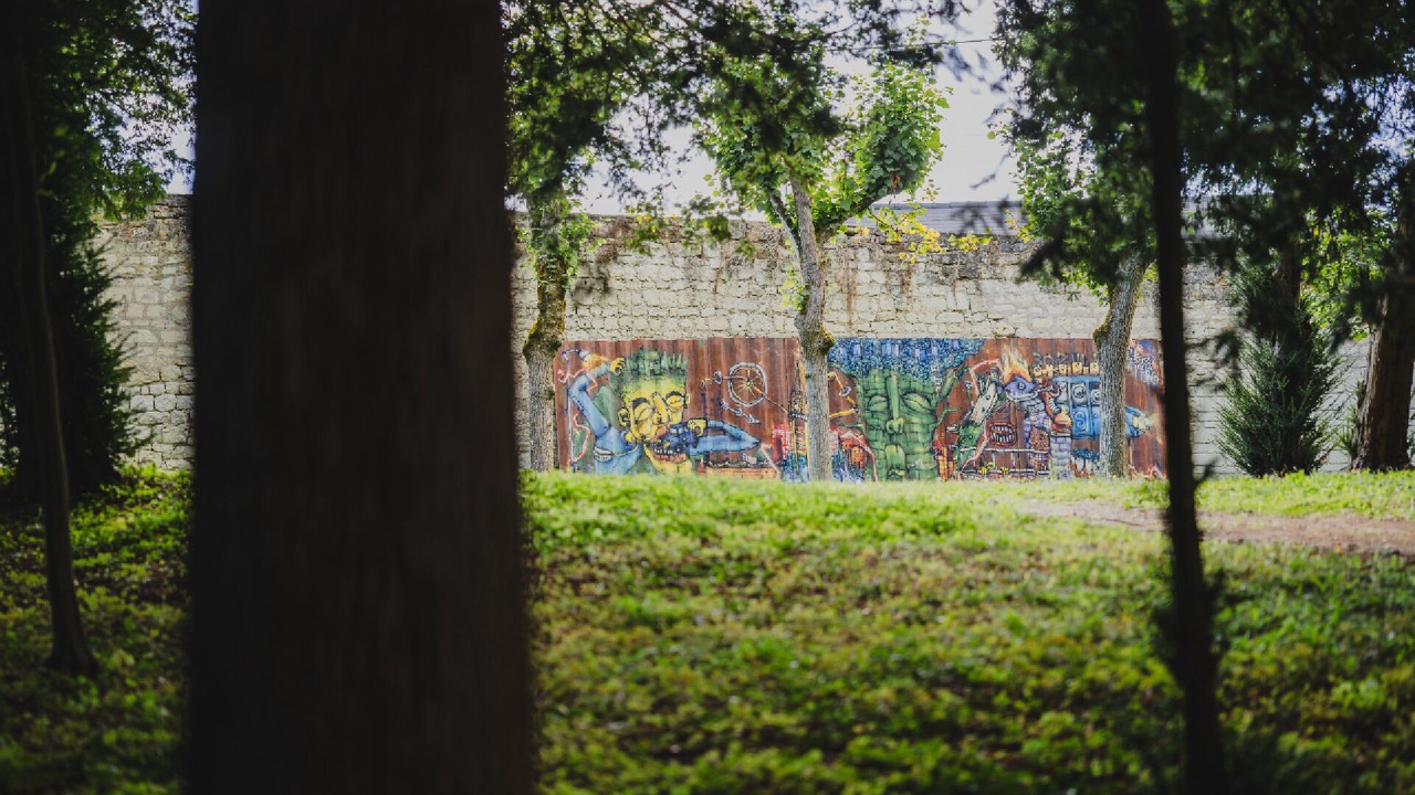 Photo of Others in Candes-Saint-Martin