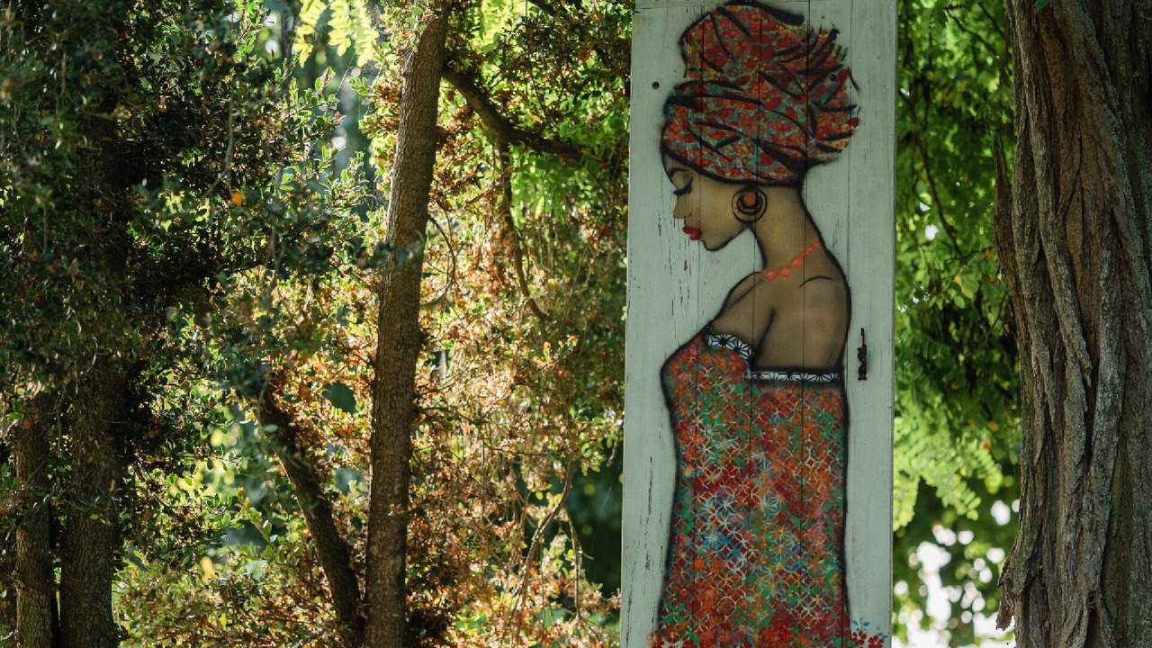 Photo of Outdoor in Candes-Saint-Martin