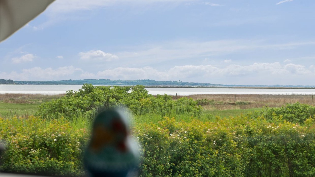 Photo of Others in Reersø