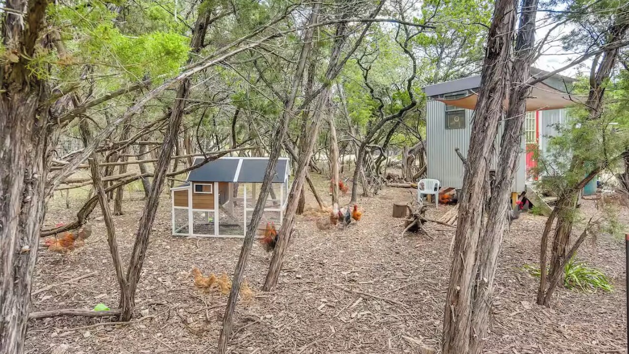 Photo of Others in Austin