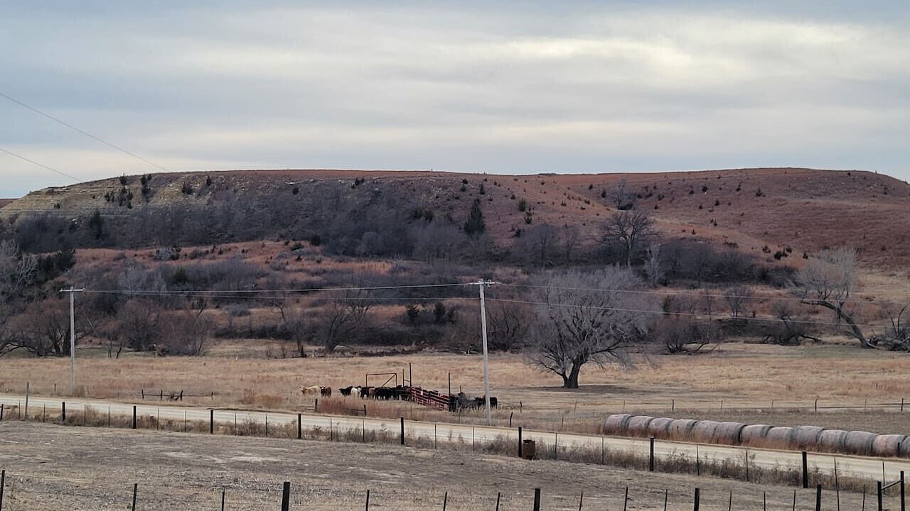 Photo of Others in Russell