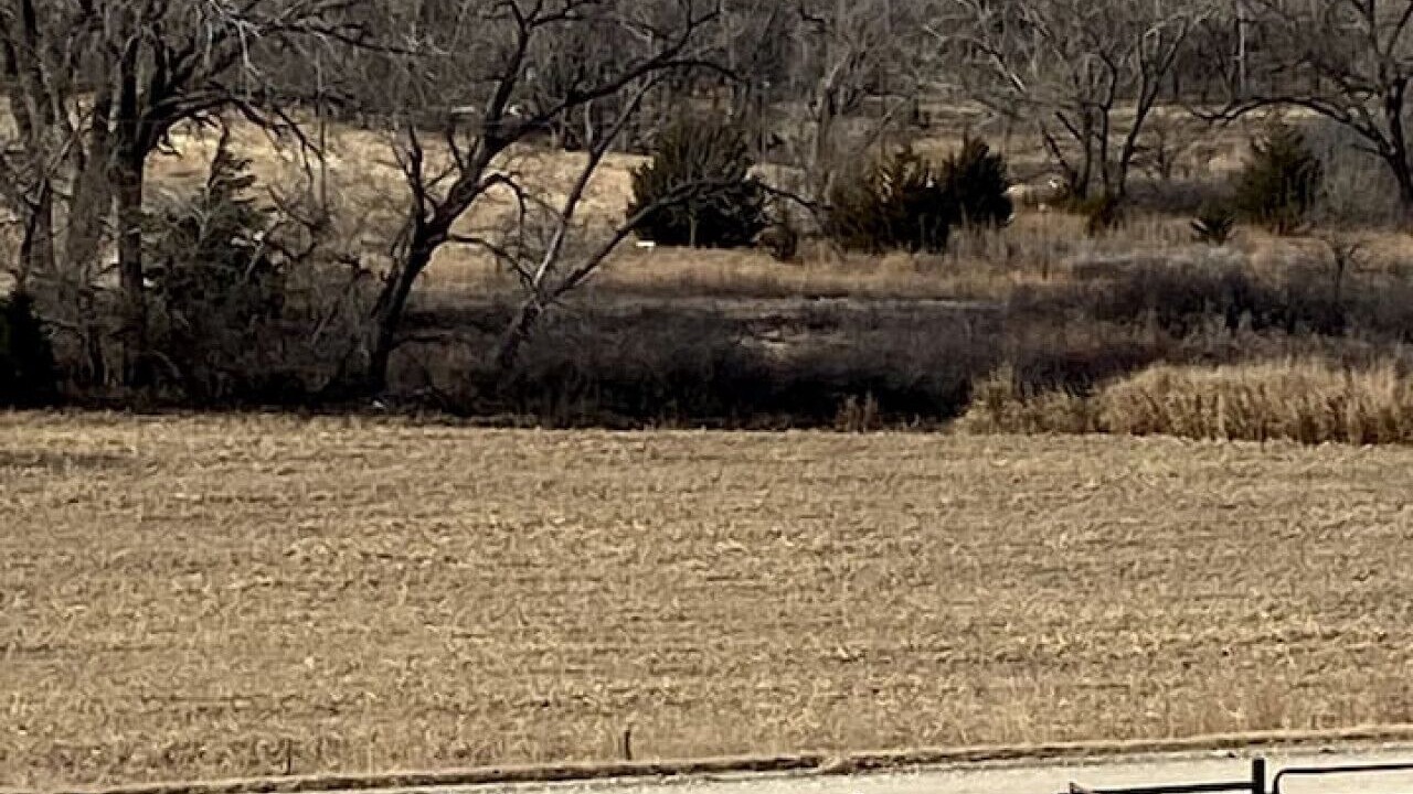 Photo of Others in Russell