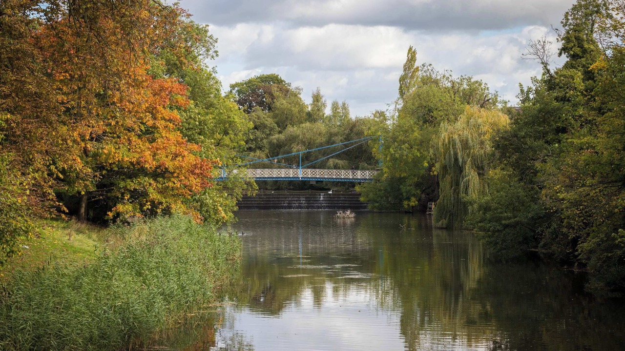 Photo of Others in Leamington Spa