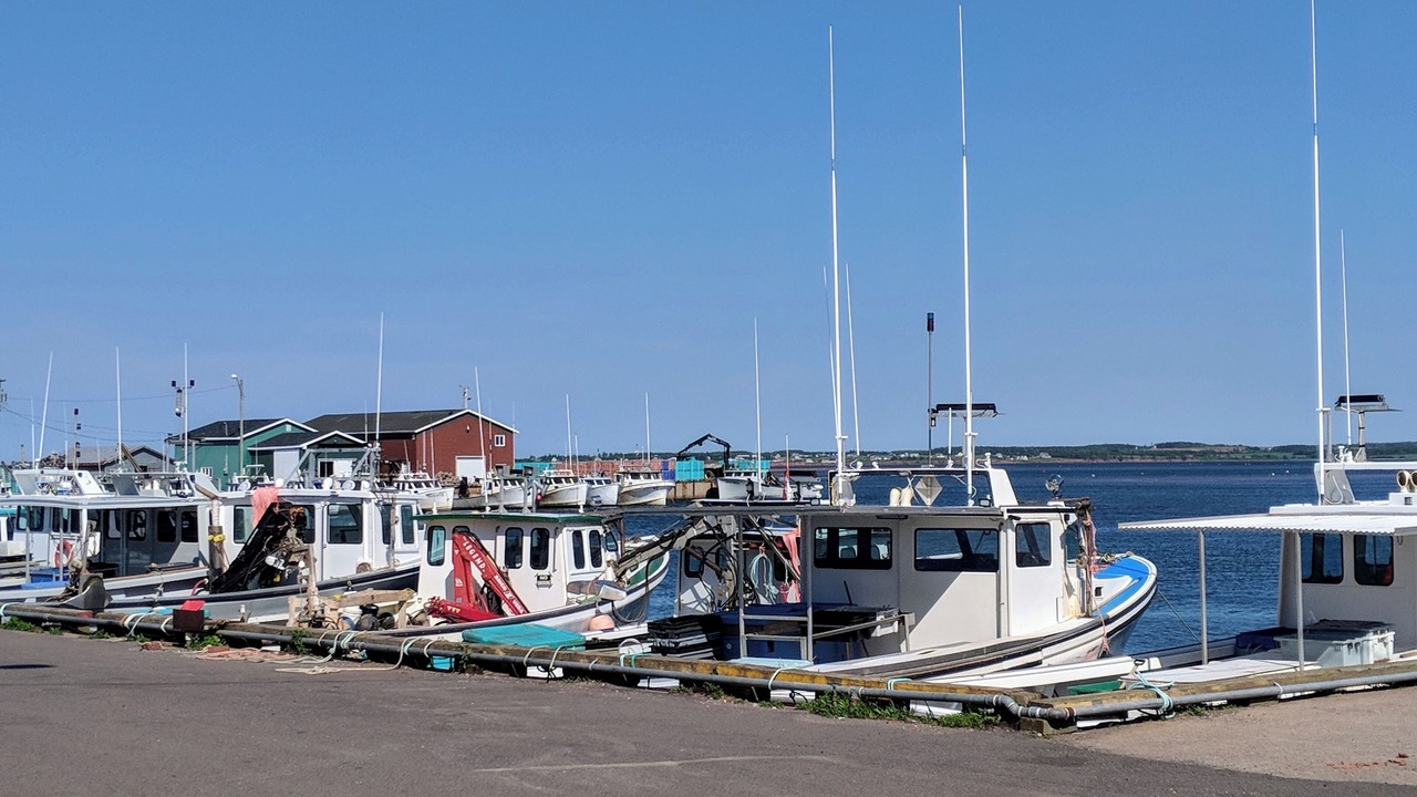 Photo of Others in Malpeque
