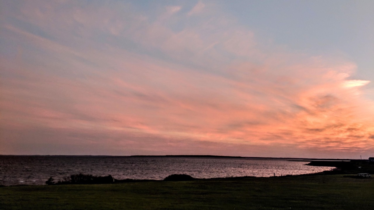 Photo of Others in Malpeque