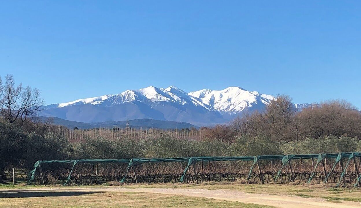 Photo of Others in Passa