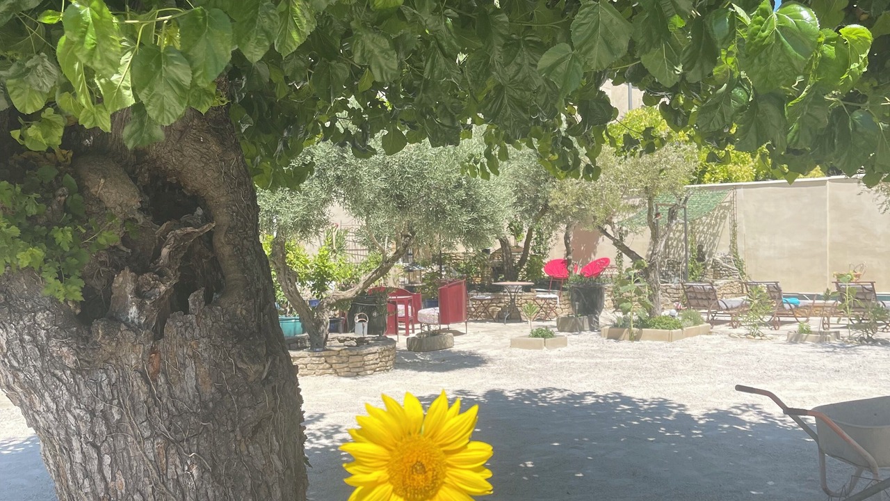 Photo of Outdoor in Violes