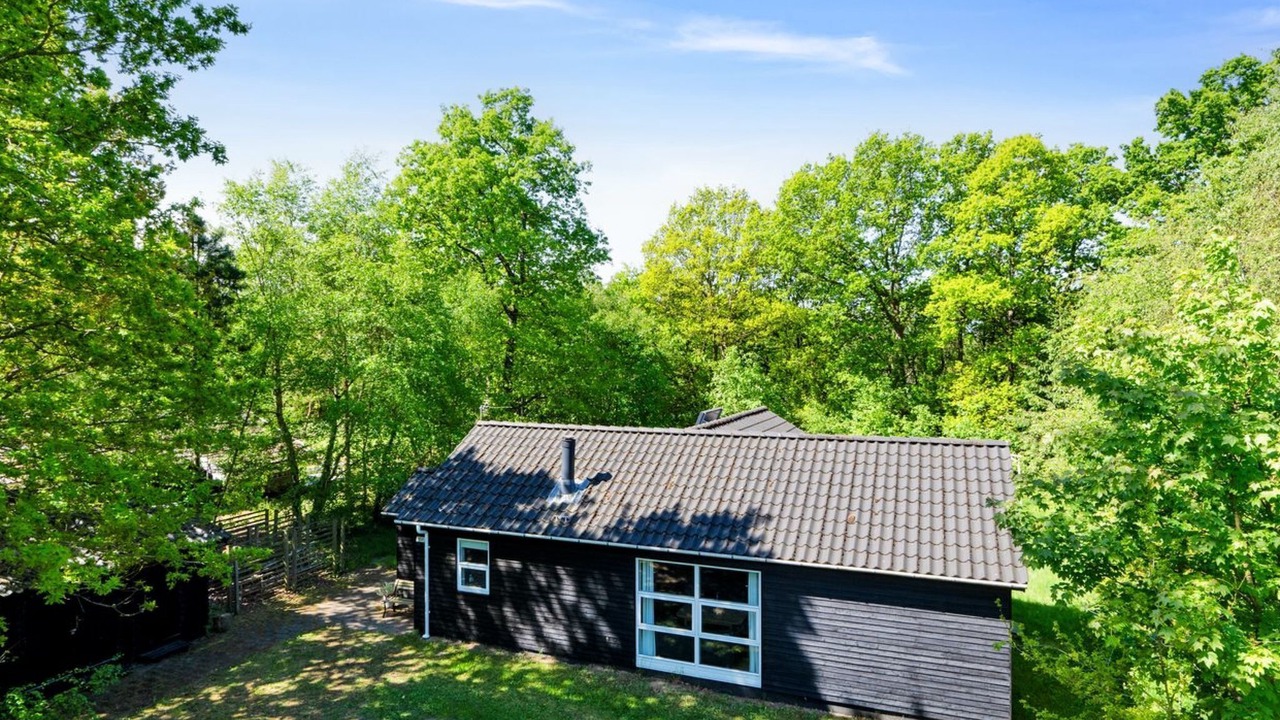 Photo of Others in Skygge