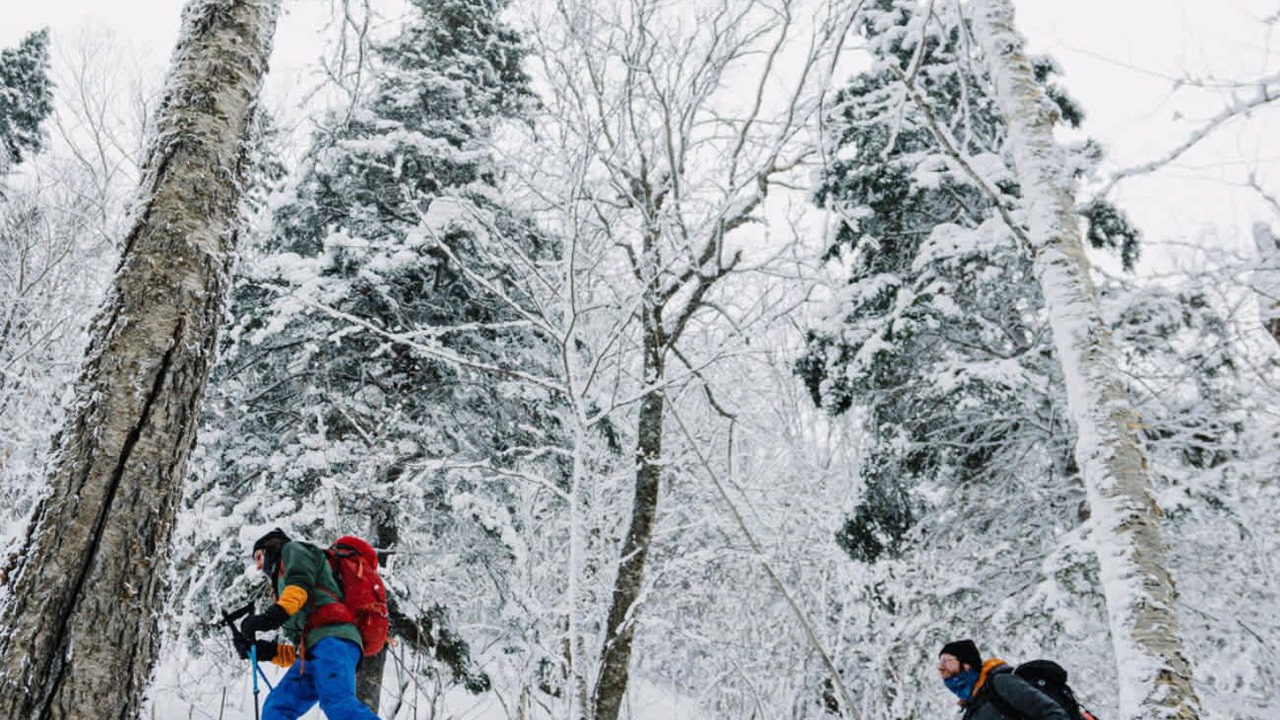 Photo of Others in Sainte-Agathe-des-Monts