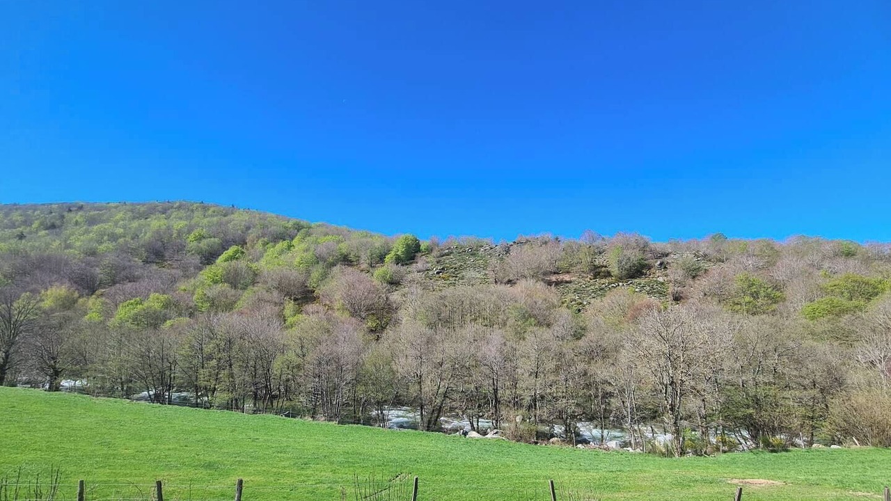 Photo of Others in Pont-de-Montvert-Sud-Mont-Lozere