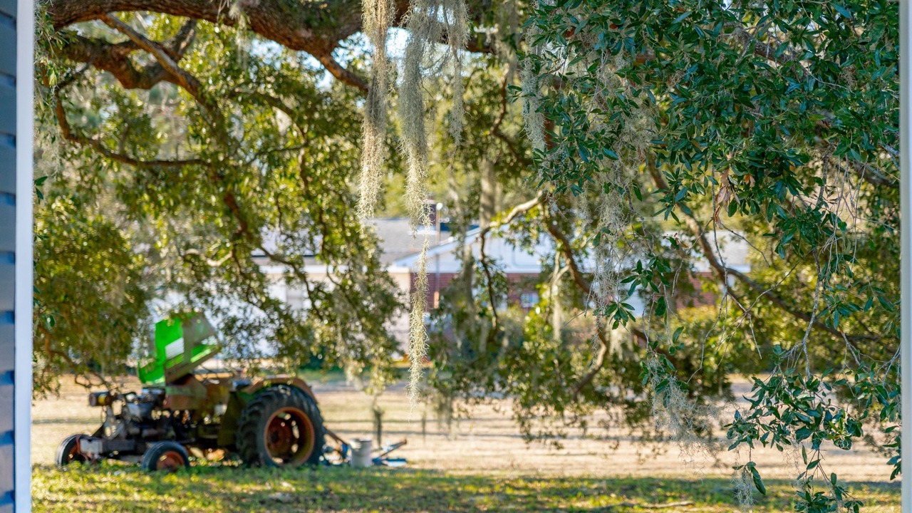 Photo of Outdoor in Edisto Island