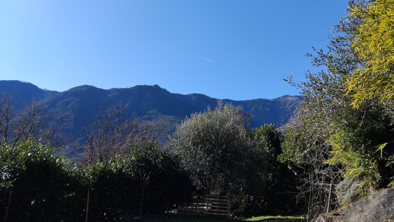 Photo of Others in Belvedere