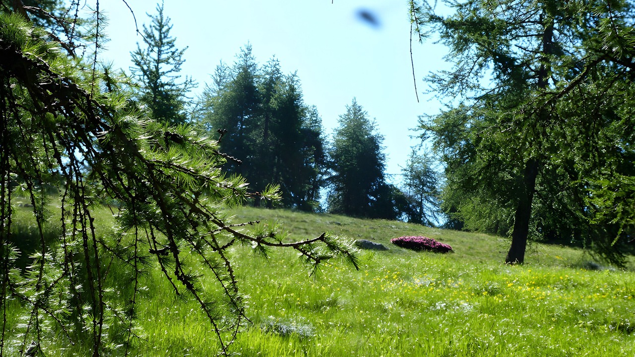 Photo of Outdoor in Belvedere