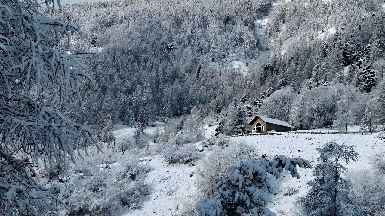Photo of Others in Belvedere
