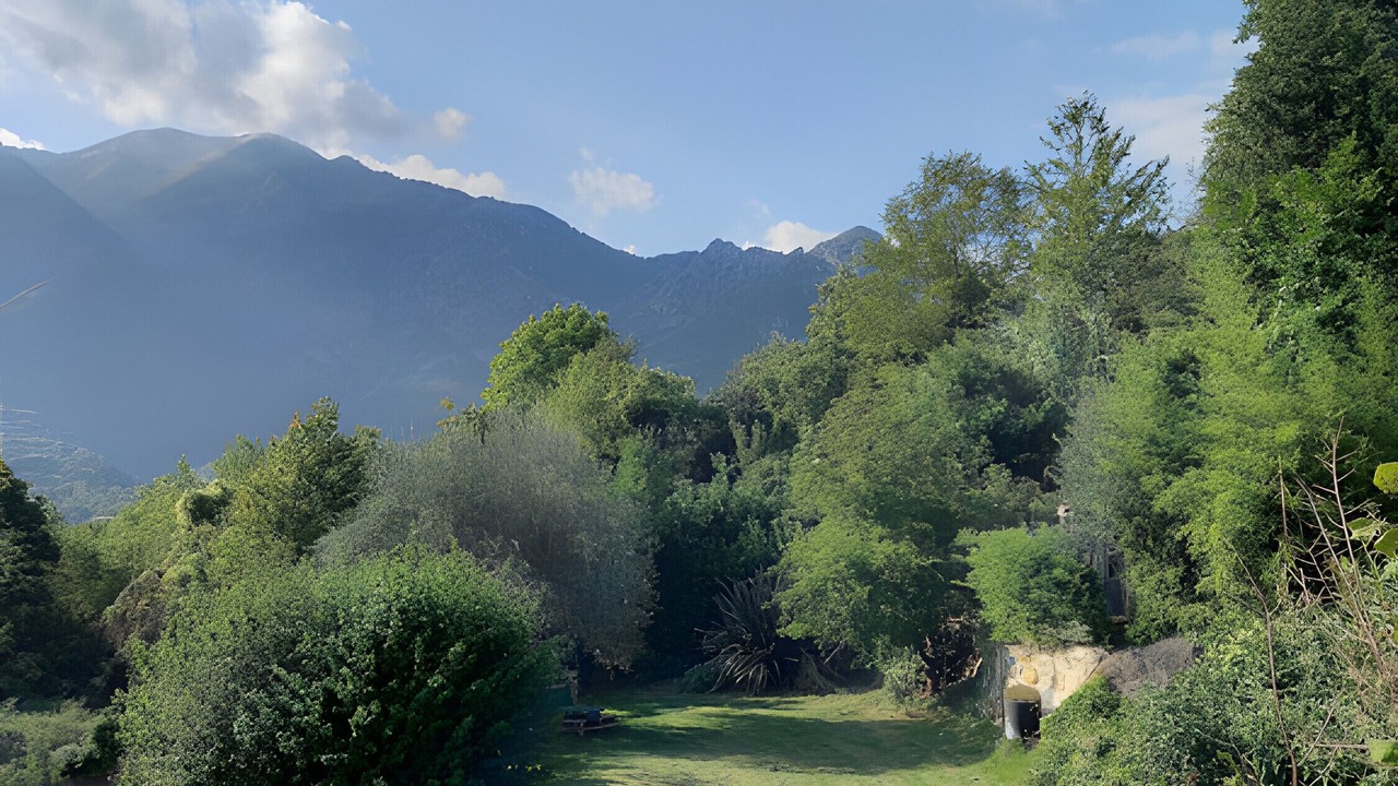 Photo of Outdoor in Belvedere