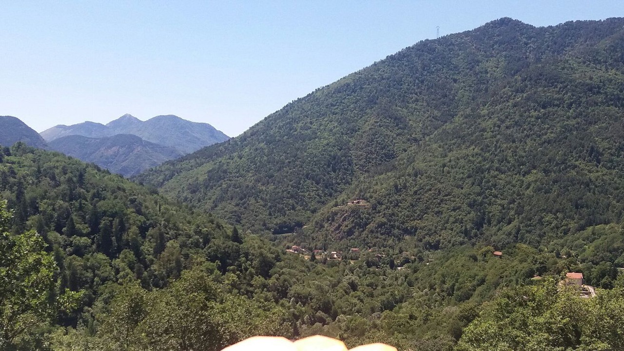 Photo of Others in Belvedere