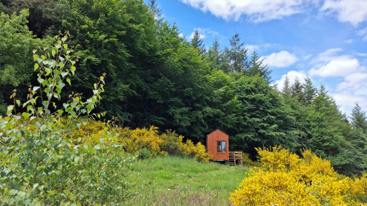 Photo of Outdoor in Saint-Rirand