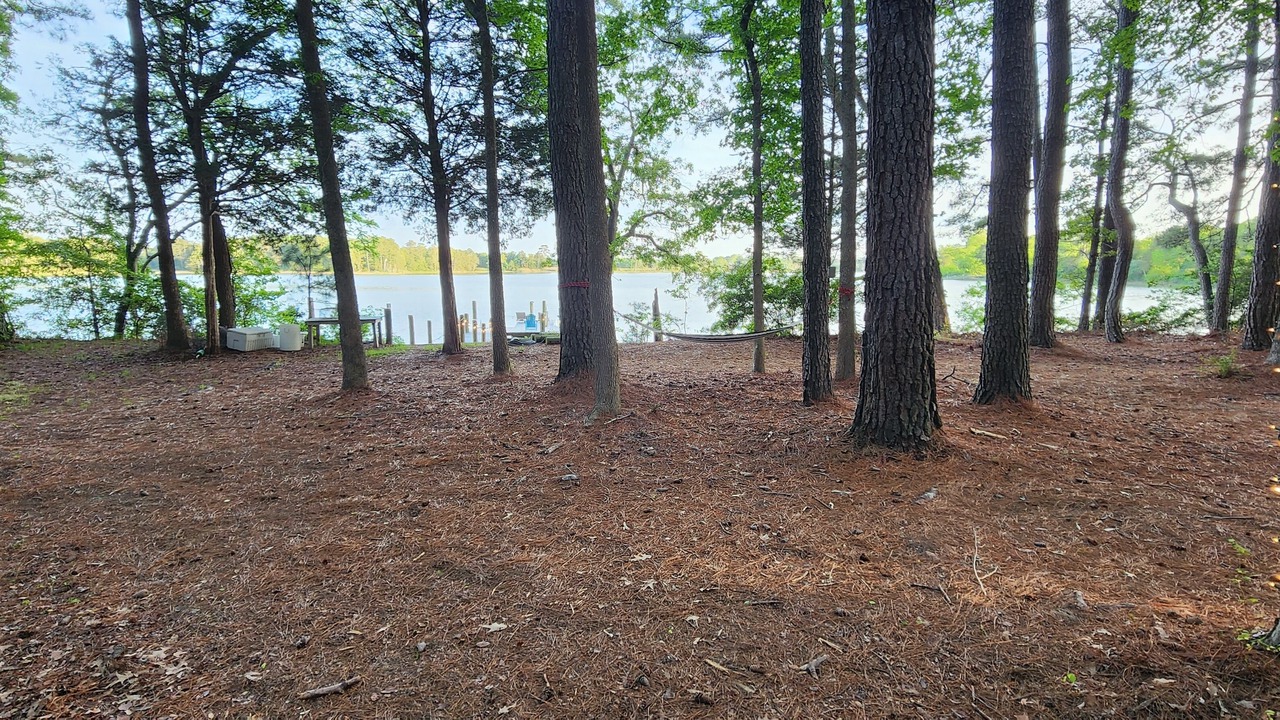 Photo of Outdoor in Machipongo
