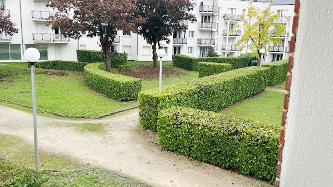 Photo of Outdoor in Orleans