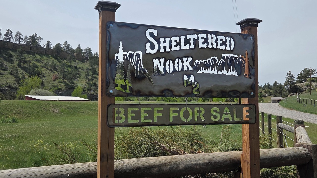 Photo of Others in Yellowstone County