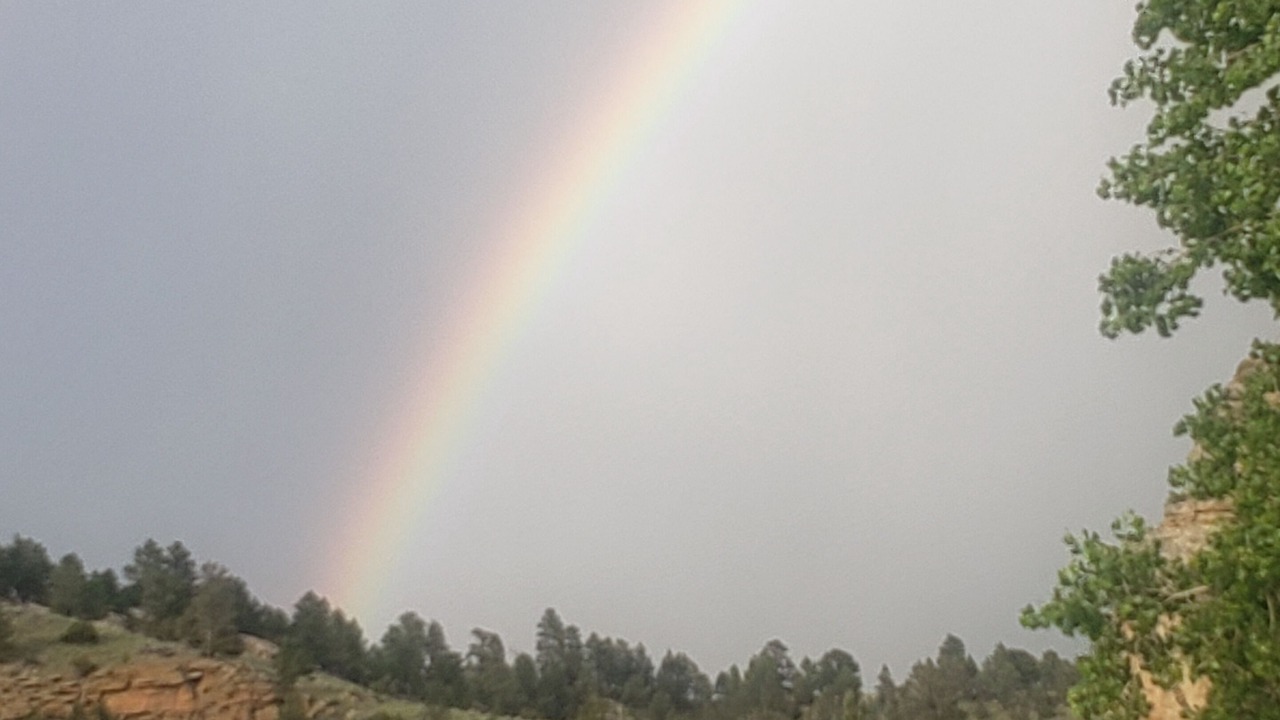 Photo of Others in Yellowstone County