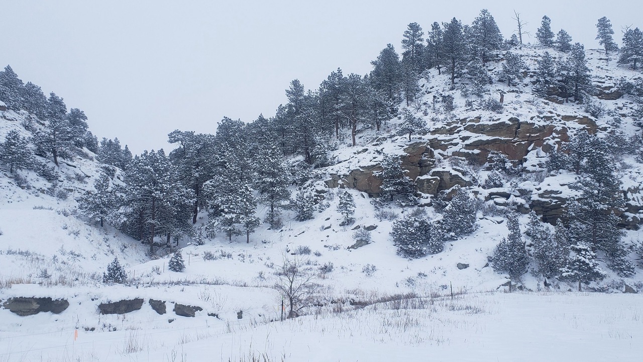 Photo of Others in Yellowstone County
