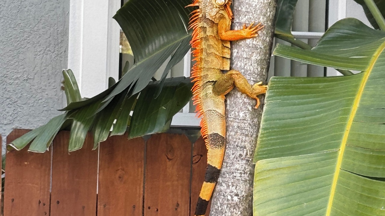 Photo of Outdoor in Tarpon River