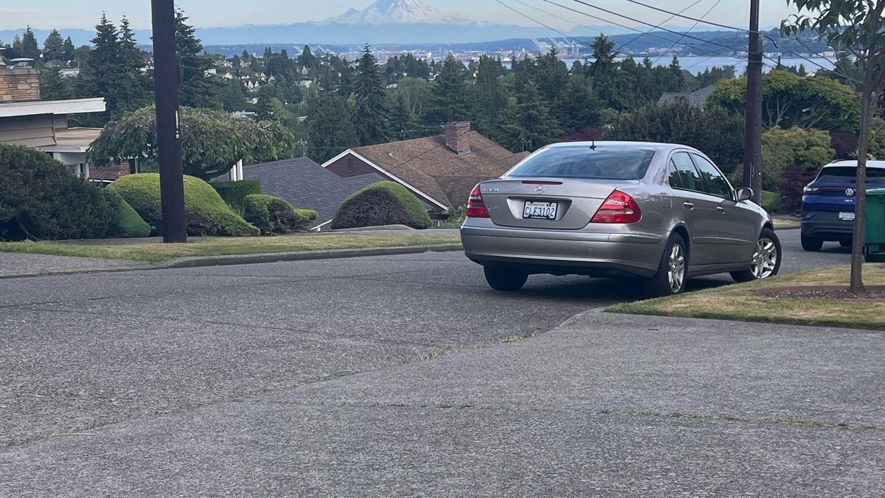 Photo of Others in Magnolia