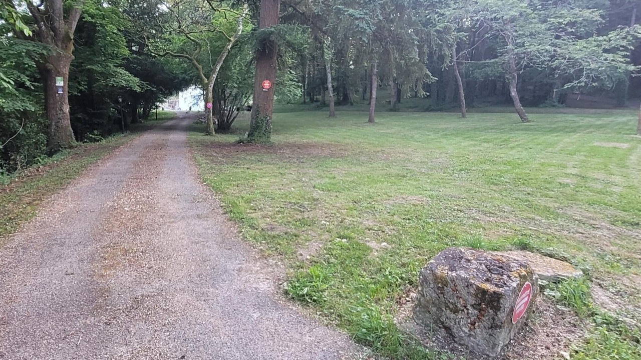 Photo of Outdoor in Reugny