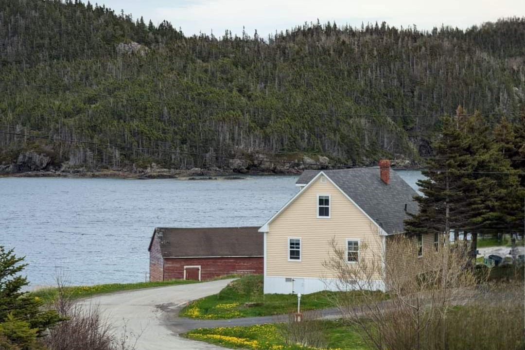 Photo of Outdoor in Fogo