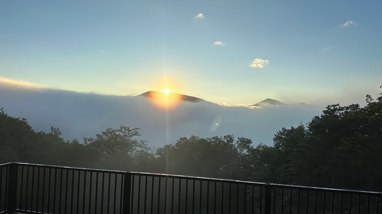 Photo of Outdoor in Bartlett