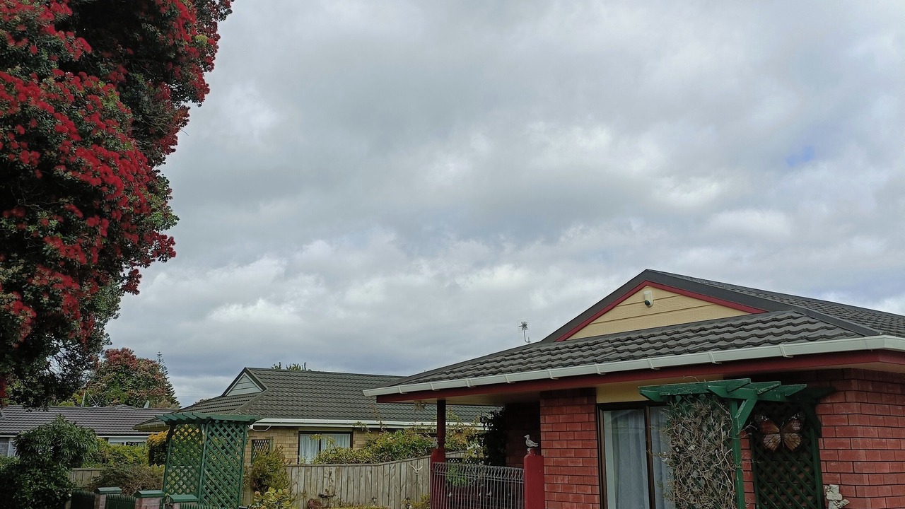 Photo of Outdoor in Castlecliff