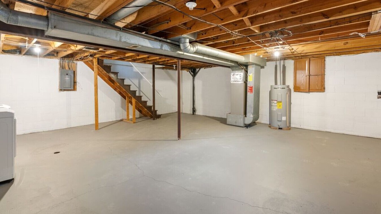 Photo of Others in Northern Woods