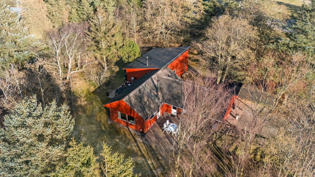 Photo of Others in Lodbjerg Hede