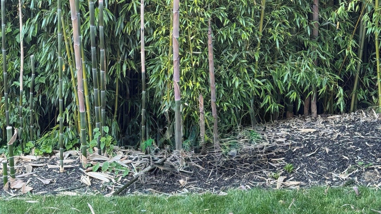 Photo of Outdoor in Silver Lake
