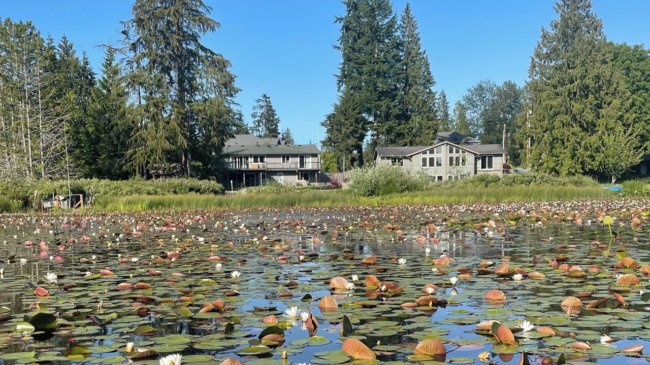 Photo of Others in Silver Lake