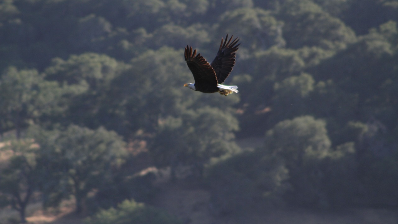 Photo of Outdoor in Grover Beach