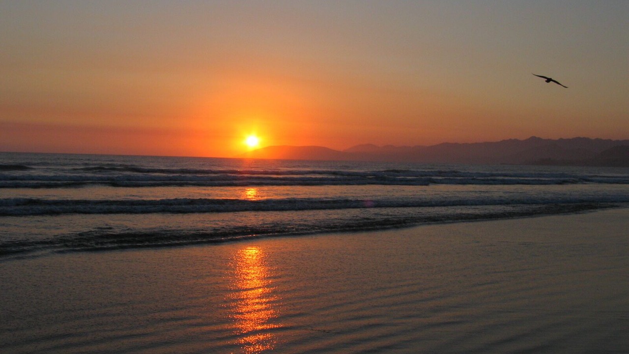 Photo of Others in Grover Beach