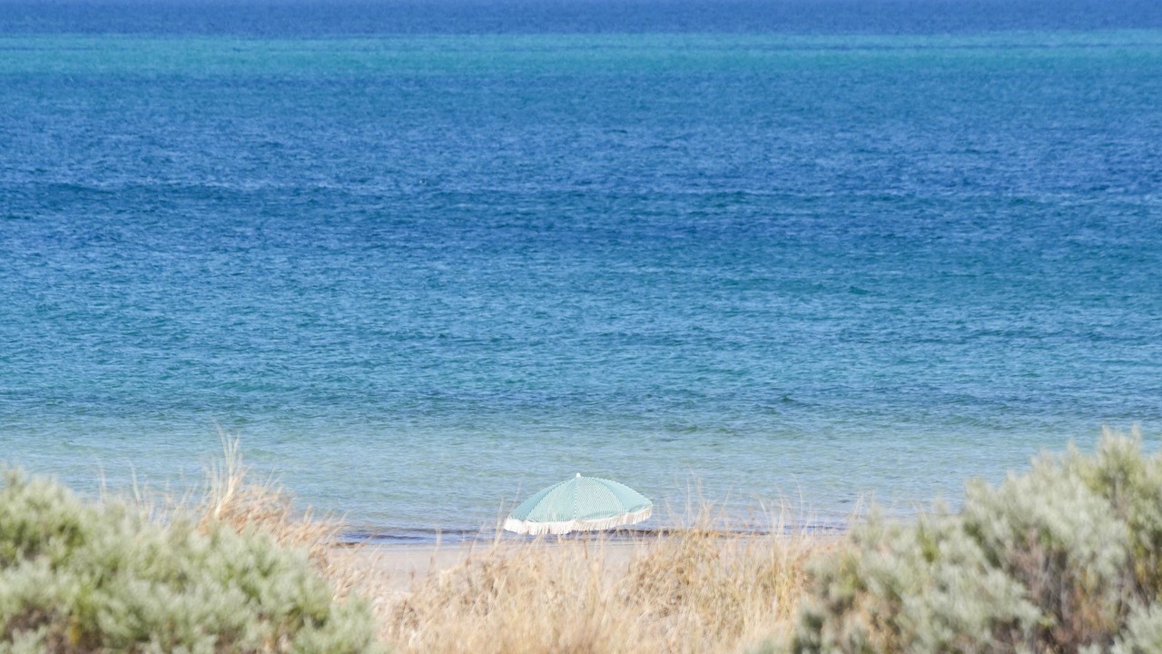 Photo of Others in West Beach