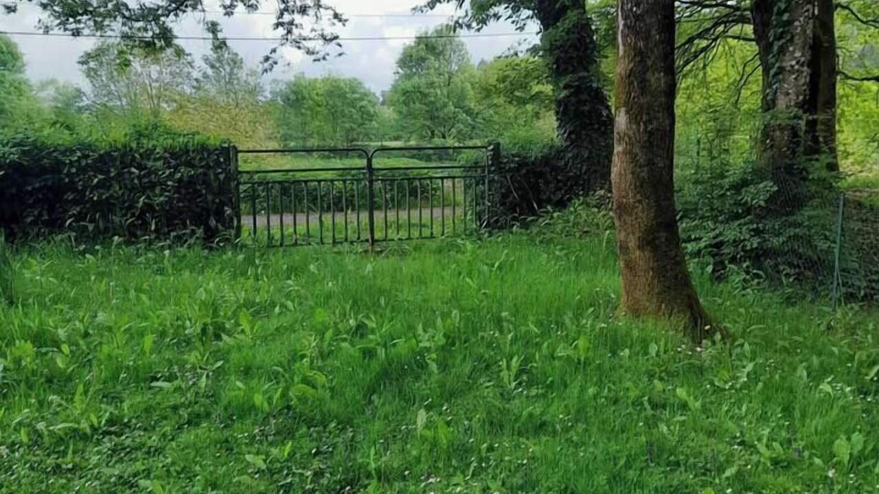 Photo of Others in Guipry-Messac