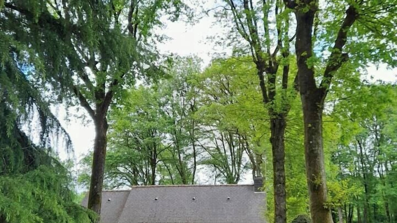 Photo of Others in Guipry-Messac