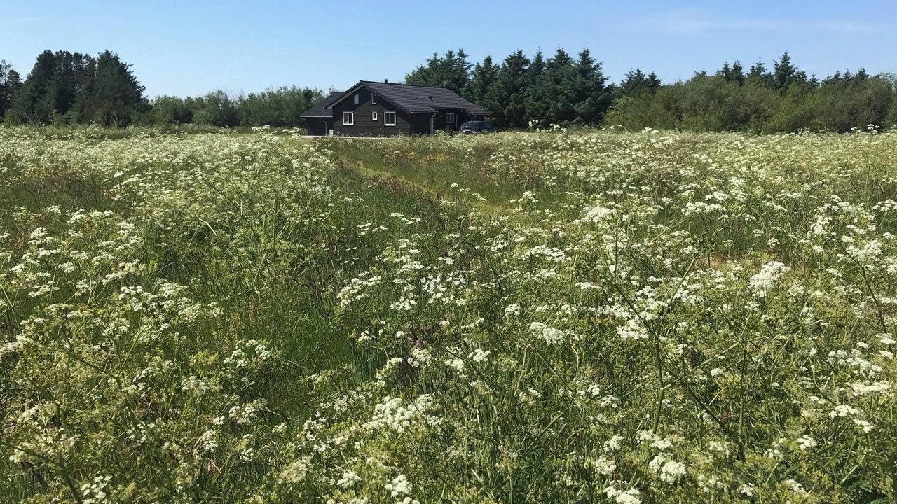 Photo of Others in Nørklit