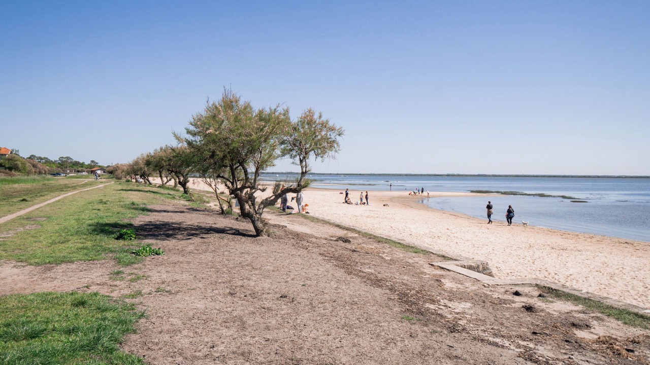 Photo of Others in Audenge