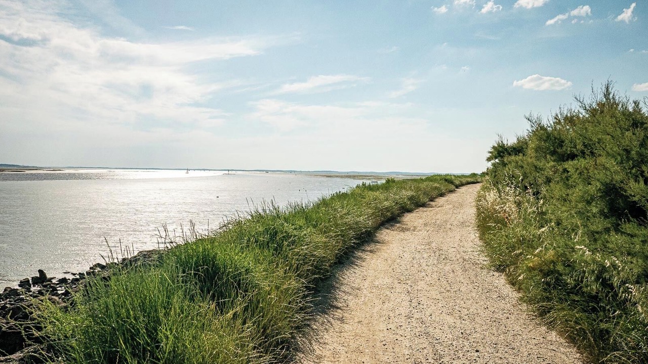 Photo of Others in Audenge