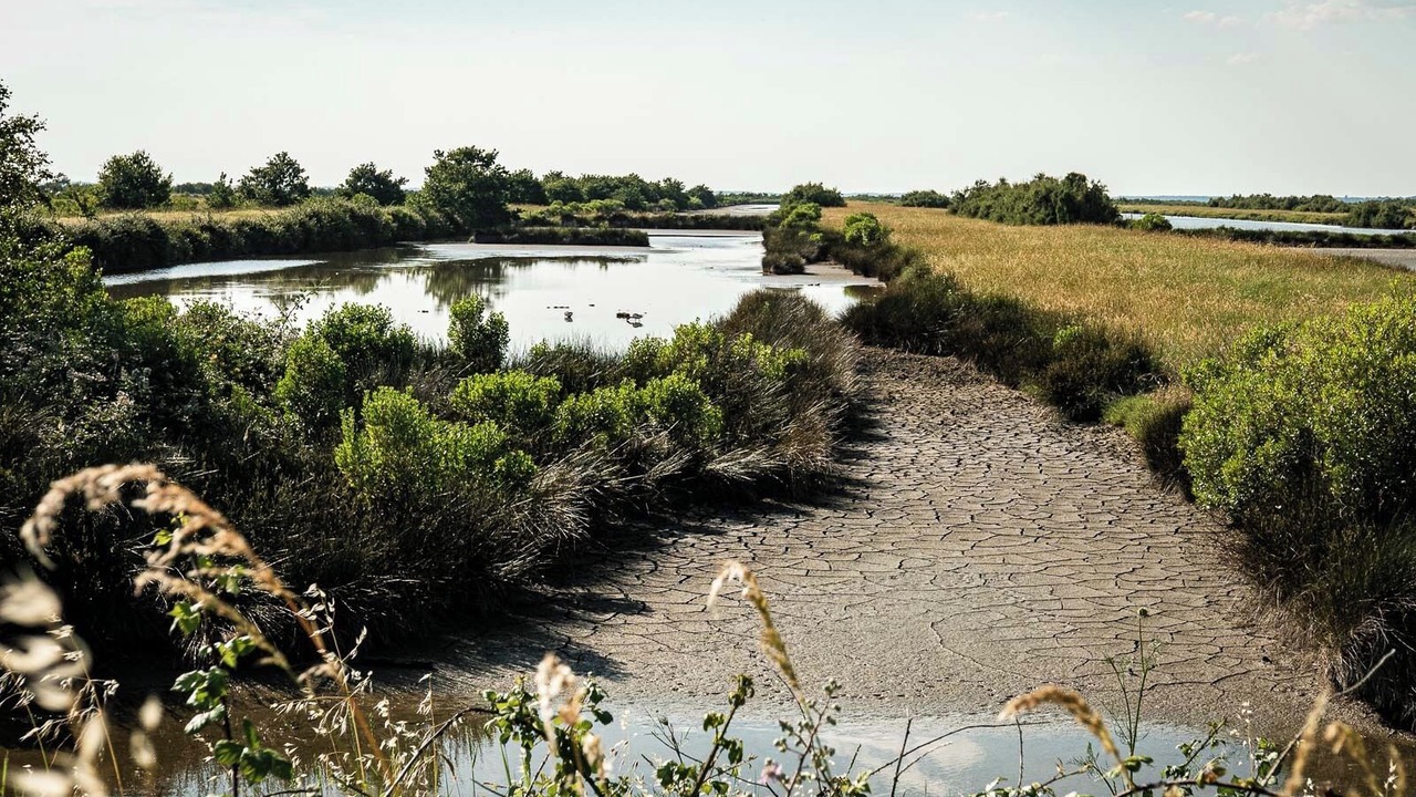 Photo of Others in Audenge