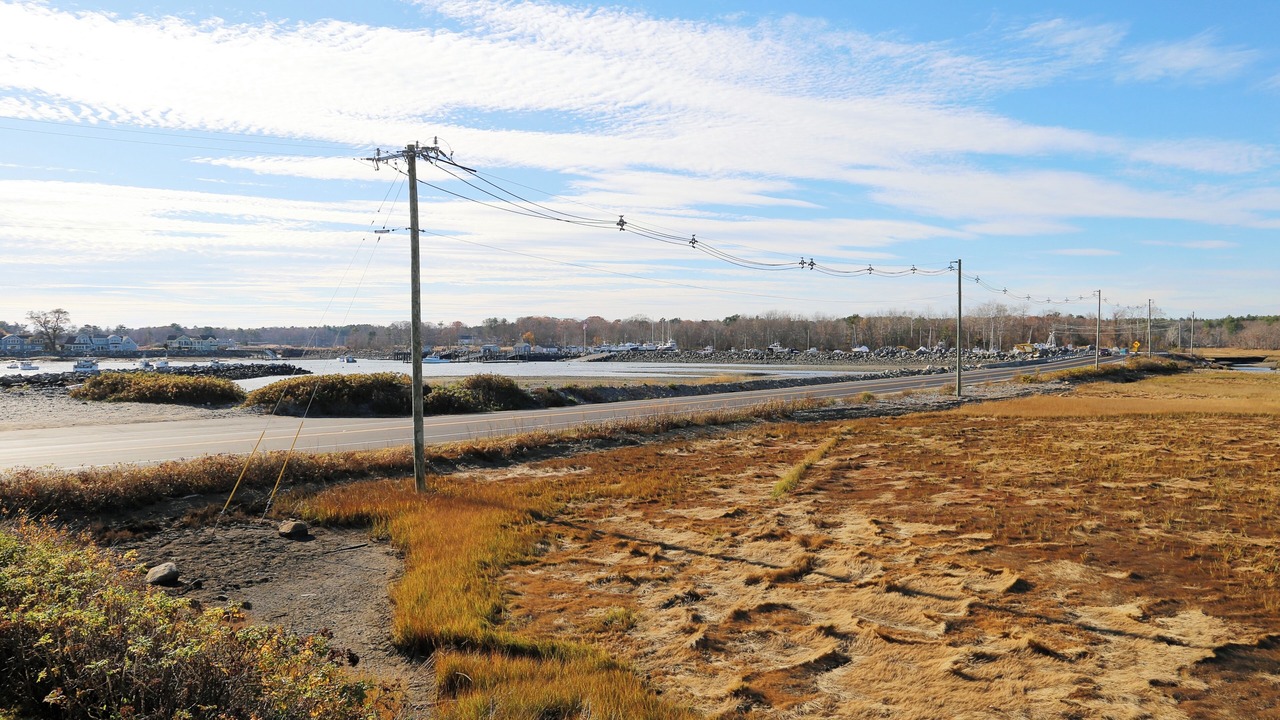 Photo of Others in Rye