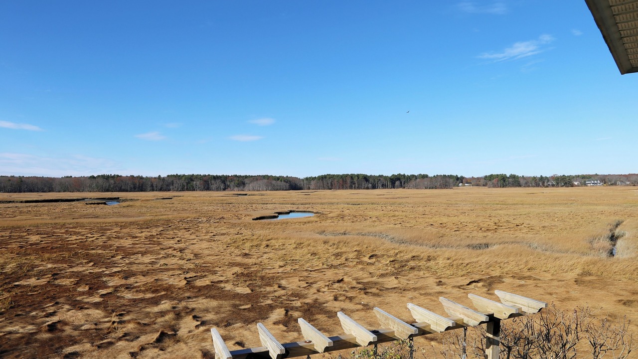 Photo of Others in Rye