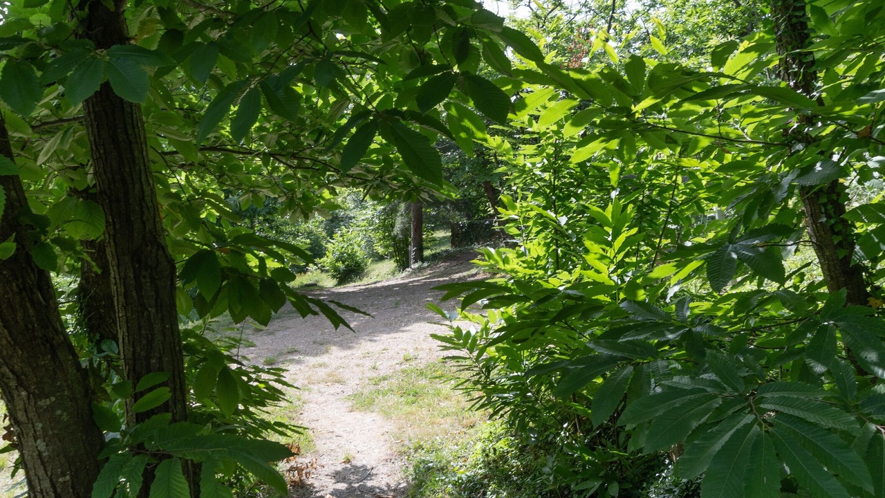 Photo of Outdoor in Gravieres