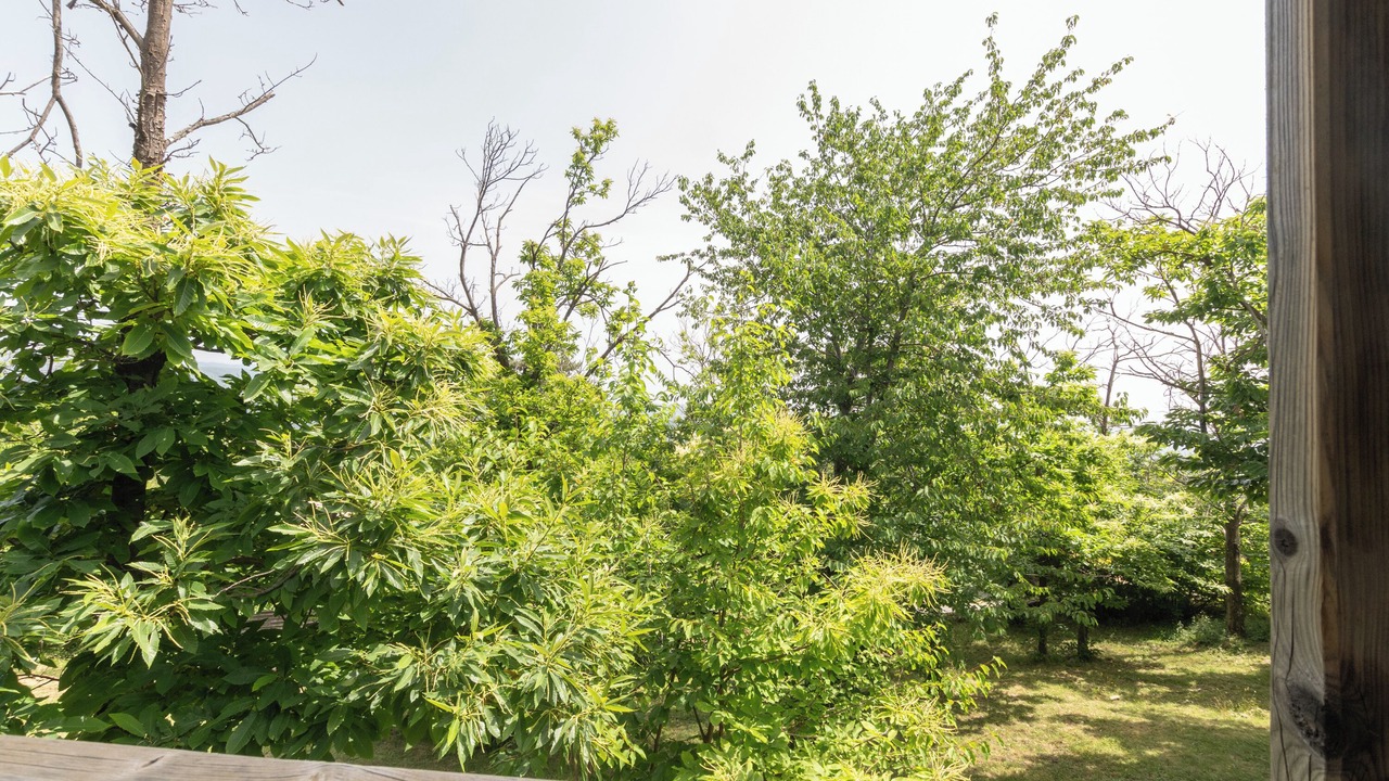 Photo of Outdoor in Gravieres